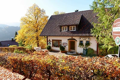 Appartement Vacances avec la famille Bad Peterstal-Griesbach