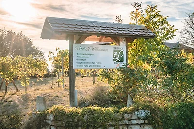 Vakantiehuis Ontspannende vakantie Oedheim