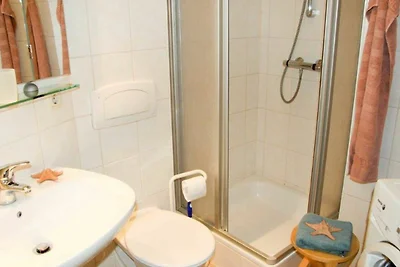 (182) 3- Raum- Appartement-Cubanzestrasse 28