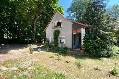 Vakantieappartement Gezinsvakantie Putbus