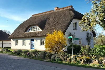 Wohnung (1)