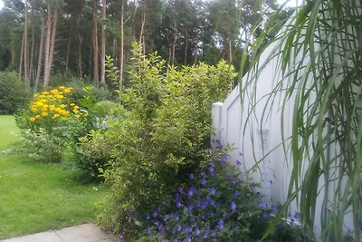 Noeske, Monika SNR: 22