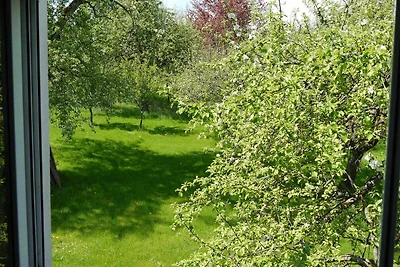 Appartamento Vacanza con famiglia Mühlingen