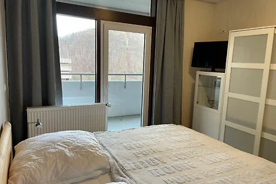 Ferienwohnung Harz Valley