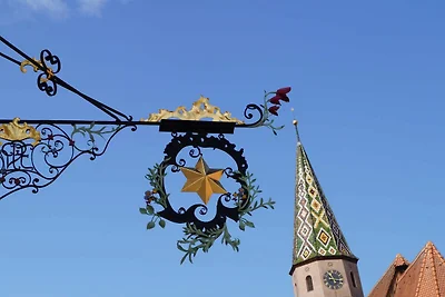 Kategorie 11