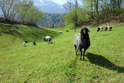 Vakantieappartement Gezinsvakantie Bizau