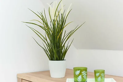 Vakantieappartement Gezinsvakantie Neuharlingersiel