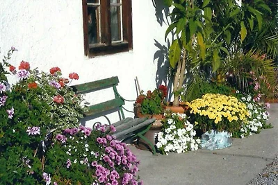 Ferienwohnung Rosengarten im Haus zum Staun