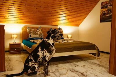 Vakantieappartement Gezinsvakantie Diebach