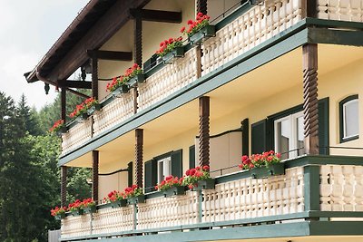 Albergo Cultura ed escursioni Tegernsee (città)