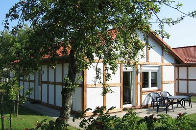 Ferienhaus 116 Kogge 60qm bis 4 Personen mit...