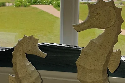 Vakantiehuis Ontspannende vakantie Zierow