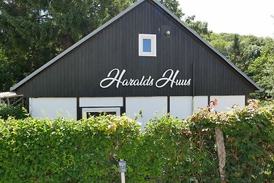 Haralds Hus