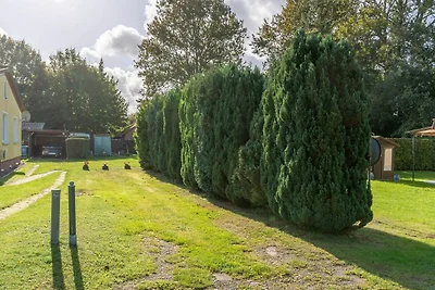 kleines Ferienhaus nur 5 Auto-min von Binz