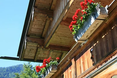 Ferienwohnung #3