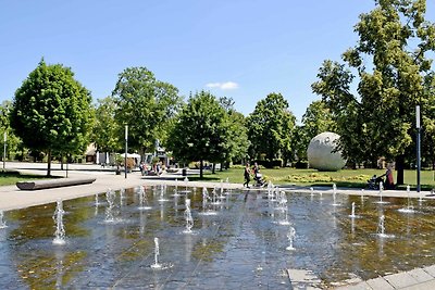 Vakantieappartement Gezinsvakantie Aschersleben