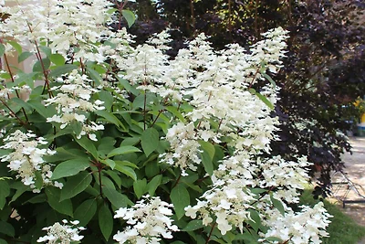 Fewo Wiesenhof bis 5 Personen