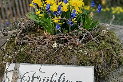 Lilienwohnung