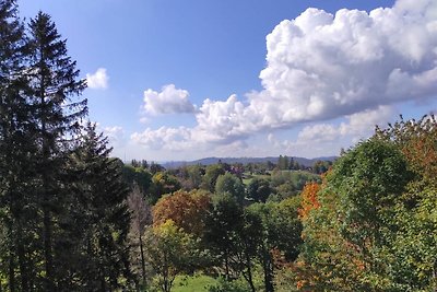 Vakantieappartement Gezinsvakantie Hohegeiß