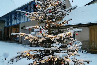 Hotel Cultuur en bezienswaardigheden Niederstetten