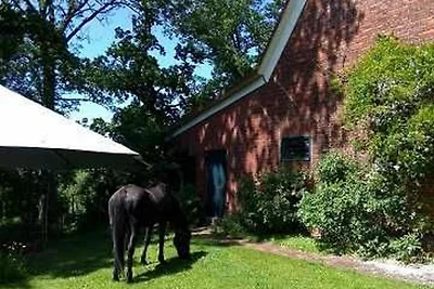 Appartamento Vacanza con famiglia Stade