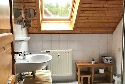 HAS-16 Holzblockhaus, 4-6 Pers., 65qm