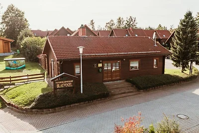 Albergo Cultura ed escursioni Oberharz am Brocken