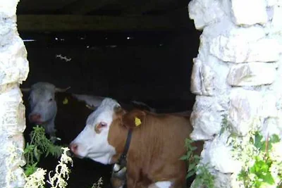 Ferienwohnung 4 für 2-3 Personen