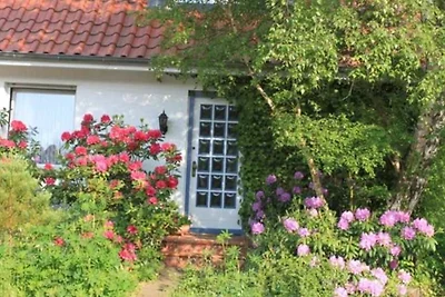 Ferienwohnung Amselstieg