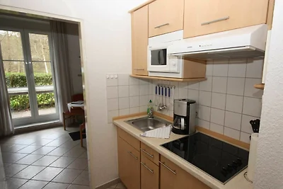 Albergo Cultura ed escursioni Dierhagen