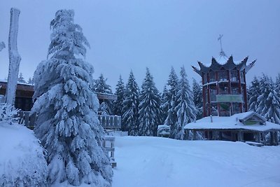 Vakantieappartement Gezinsvakantie Hahnenklee