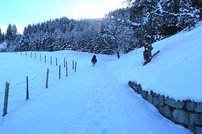 Casa vacanze Vacanza di relax Uttendorf