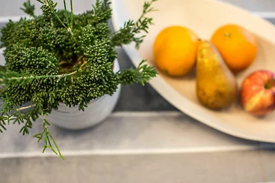 Vakantieappartement Gezinsvakantie Friedrichshafen