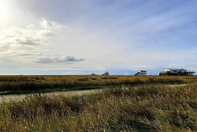 Haus Wattläufer Whg 04