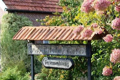 Vakantieappartement Gezinsvakantie Ostrhauderfehn