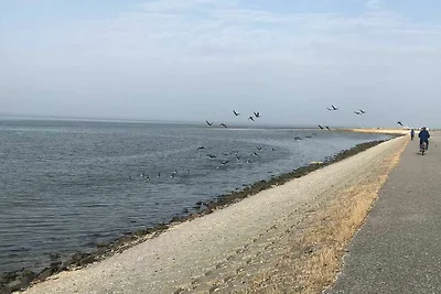 Appartamento Vacanza con famiglia Neuharlingersiel