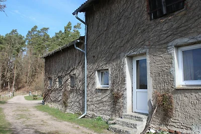 Apartament Dla rodzin Schönfeld