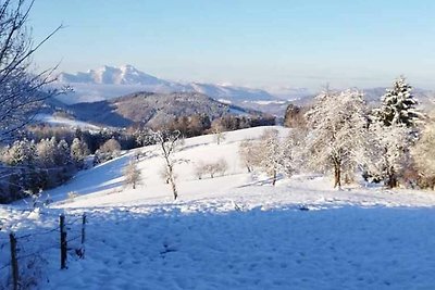 Vakantiehuis Ontspannende vakantie Weyregg am Attersee