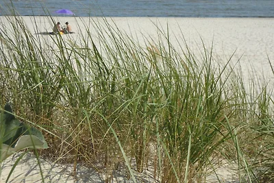 Vakantieappartement Gezinsvakantie Karlshagen