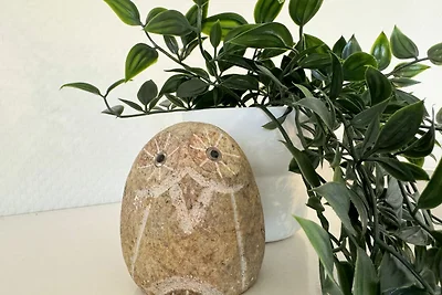 Haus Irene Whg 01 mit Terrasse & Kamin