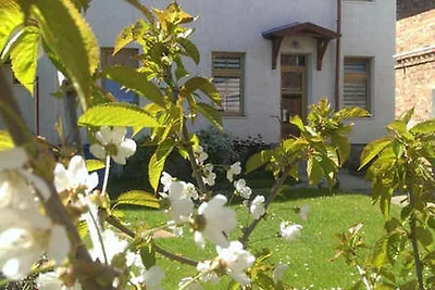 Vakantieappartement Gezinsvakantie Sassnitz