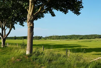 Ferienwohnung Bunte Wiese