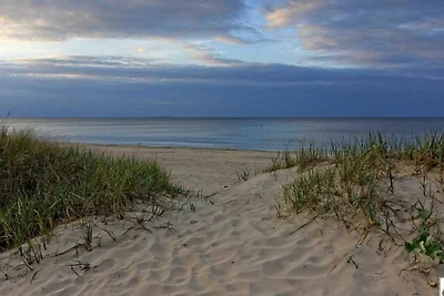 Haus Meerjungfrau (4*)