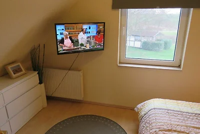 Albergo Cultura ed escursioni Hollern-Twielenfleth