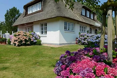 Vakantieappartement Gezinsvakantie Nieblum