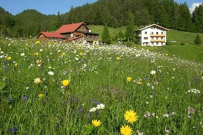Fewo Bergkastel 4-5
