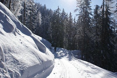 Ferienwohnung Engadin