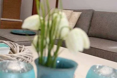 Ferienwohnung Harz-Relax E-I-4-7