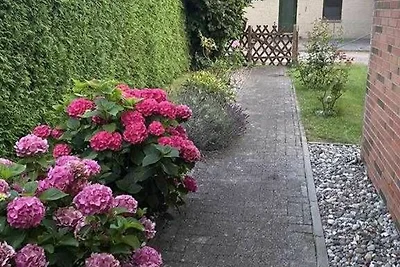 Vakantiehuis Ontspannende vakantie Barth