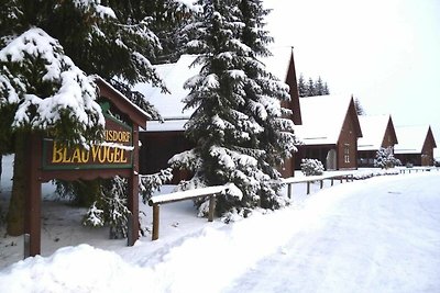 Albergo Cultura ed escursioni Oberharz am Brocken